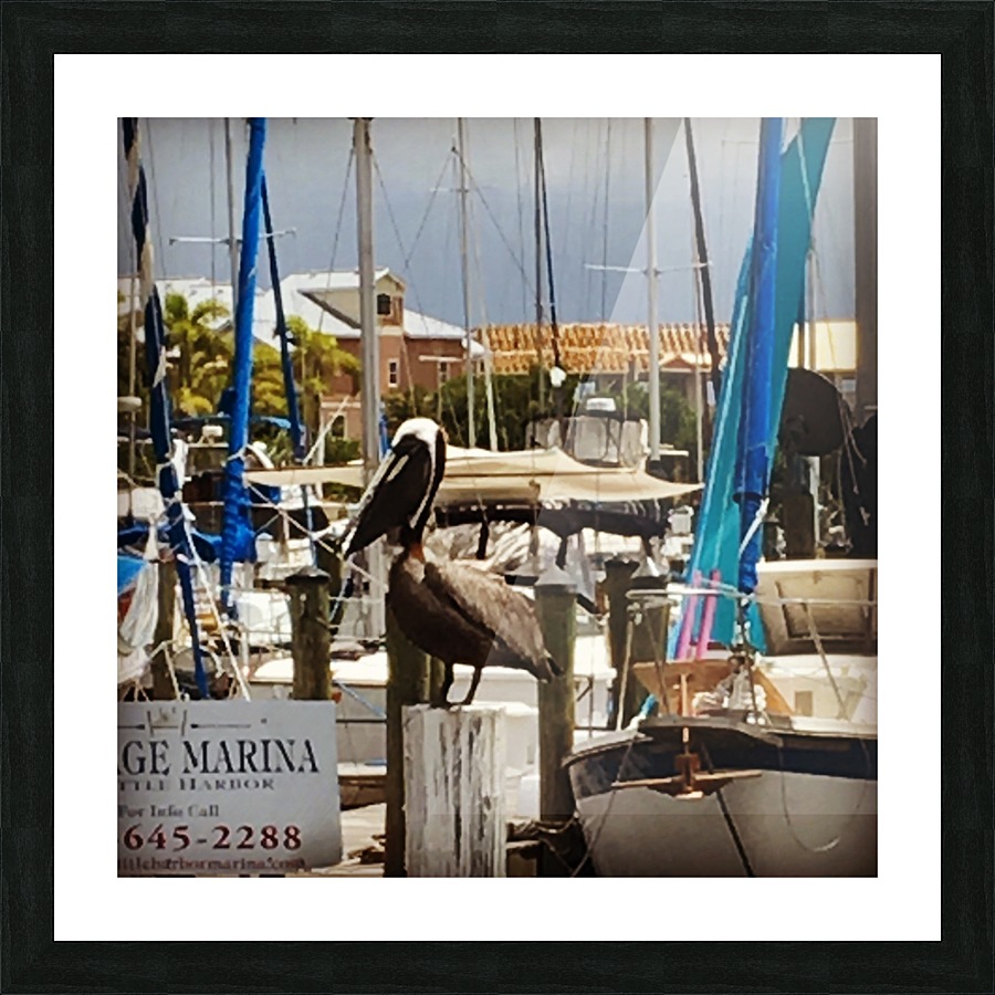 Guarding the Boats Picture Frame print