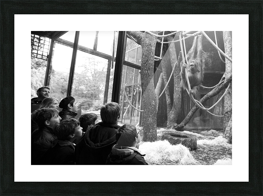 monkey Picture Frame print