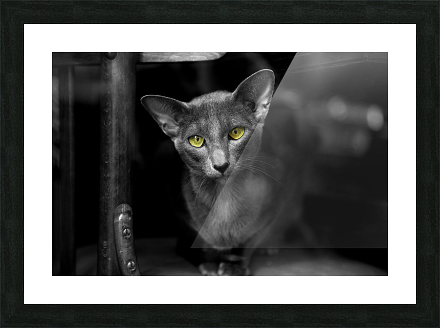 Yecat Picture Frame print