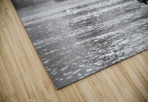 Flooding Nicolas Kovarik puzzle