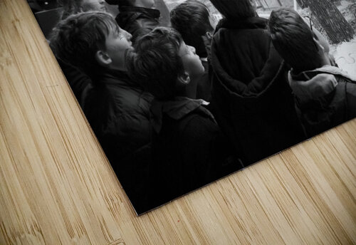 monkey Nicolas Kovarik puzzle
