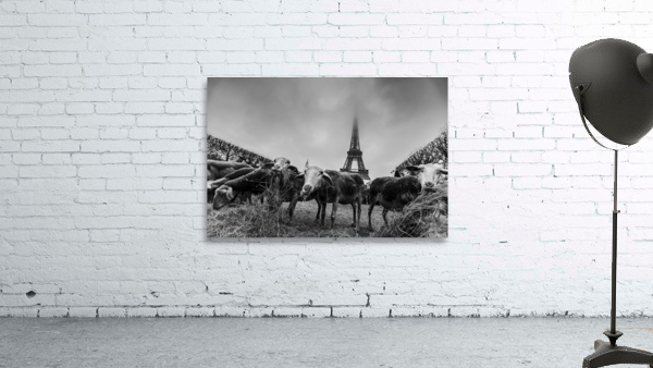 Eiffel Sheep Wall Preview