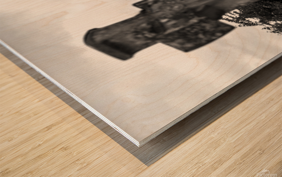 Nuclear Wood print