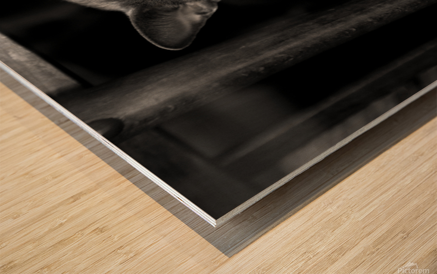 Yecat Wood print