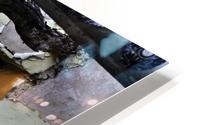 CozumelDoor08 HD Metal print