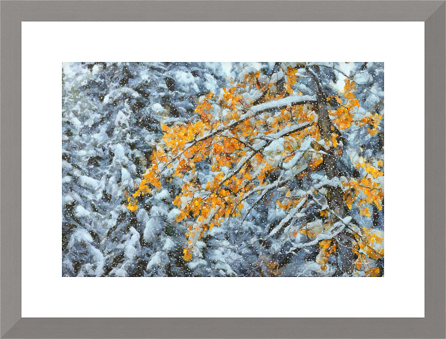 Changing Seasons III Picture Frame print