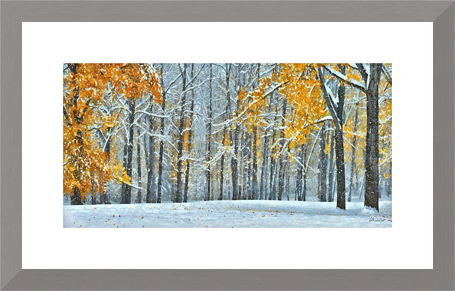 Changing Seasons I Picture Frame print