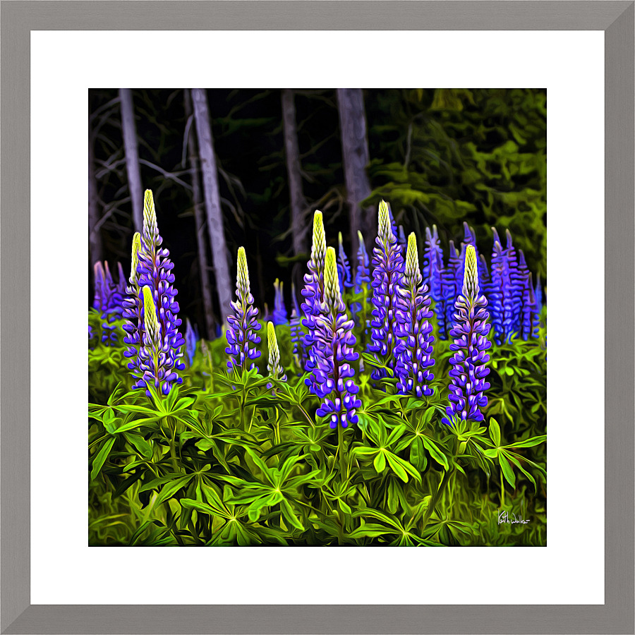Wild Delphiniums Picture Frame print