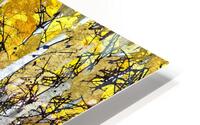 Autumn Splendor I  HD Metal print