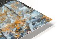 Changing Seasons IV HD Metal print