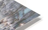 Winter Marshland HD Metal print
