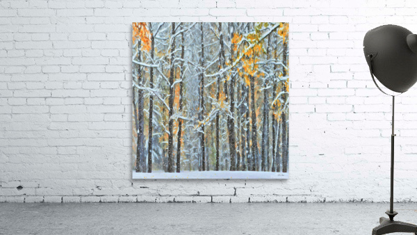 Changing Seasons II  Wall Preview