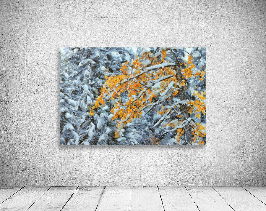 Changing Seasons III Wall Preview