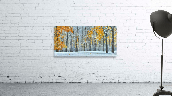 Changing Seasons I Wall Preview