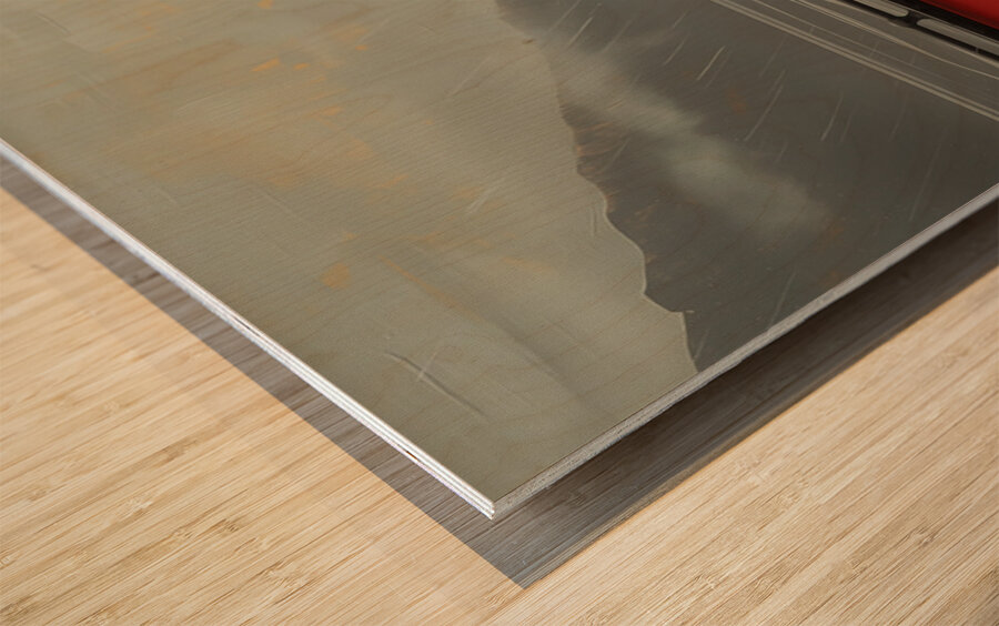 Honeymoon on the West Coast Wood print