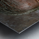Z853 Metal print