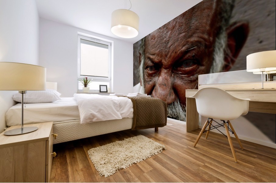 Z853 Mural print