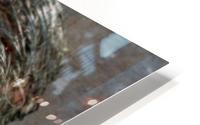 Z853 HD Metal print