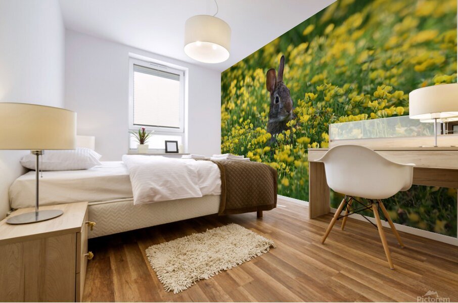 027 Mural print