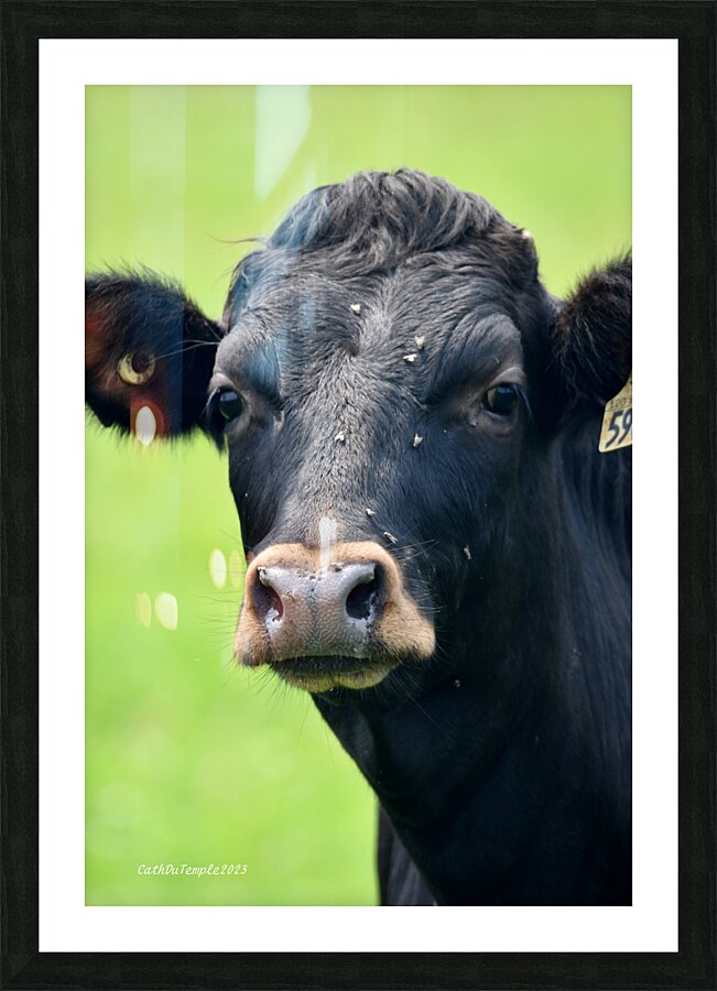 139 Picture Frame print