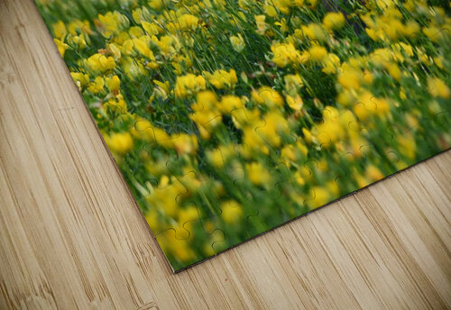 027 Cath DuTemple puzzle
