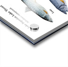 Lake Superior Lake Trout Morphs Painting Acrylic print