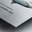 Lake Superior Lake Trout Morphs Painting Metal print