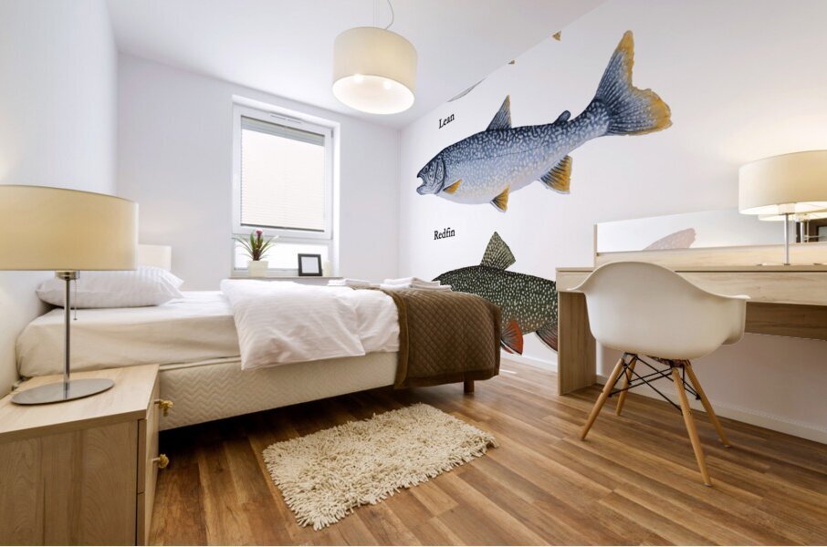 Lake Superior Lake Trout Morphs Painting Mural print