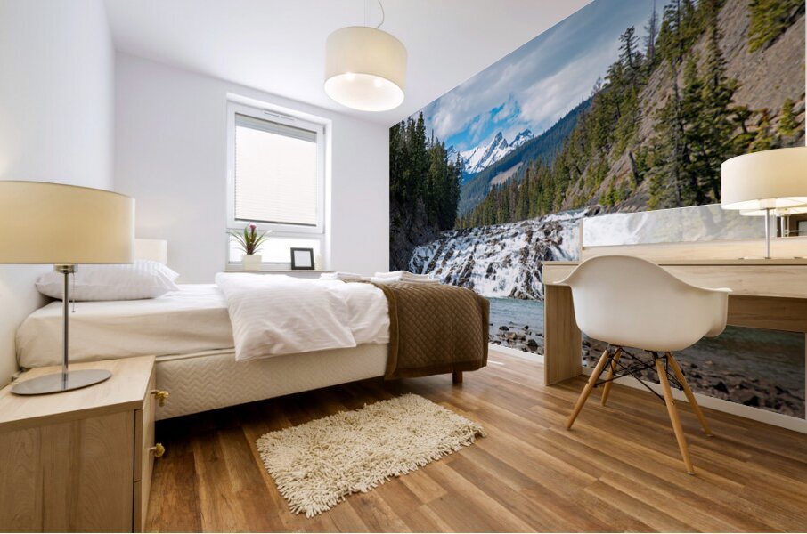 Bow River Falls Print Mural print