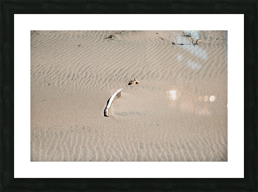 Sand Waves Print Picture Frame print