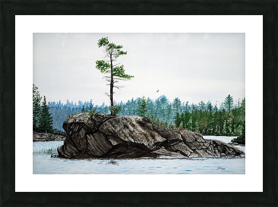 White Pine Island Picture Frame print