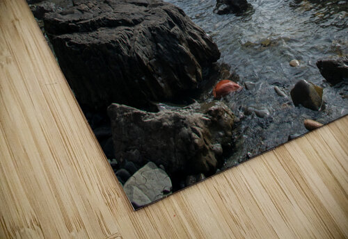 Sea Cave Print Stephen Emms puzzle