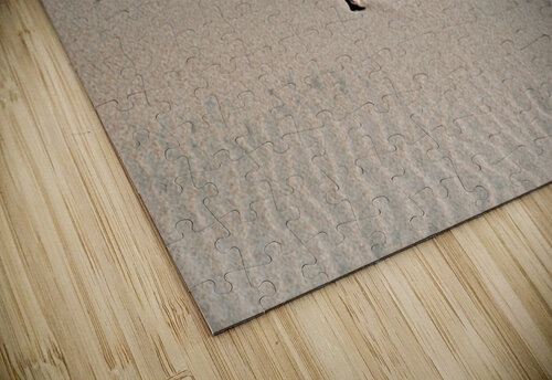 Sand Waves Print Stephen Emms puzzle