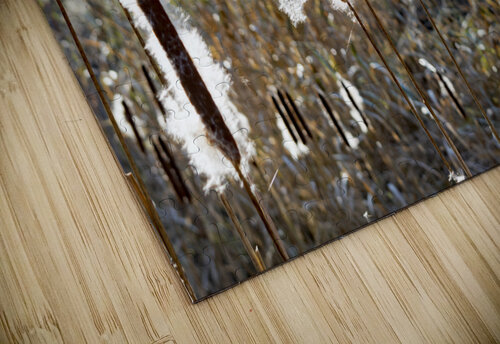 Cattails Print Stephen Emms puzzle