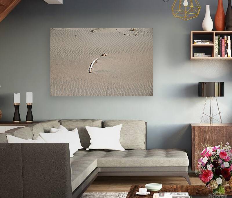 Sand Waves Print Reproduction