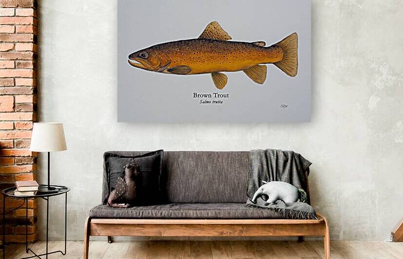 Brown Trout Painting by Stephen Emms