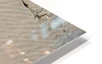 Sand Waves Print HD Metal print