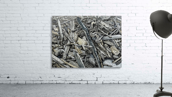 Beach Driftwood Painting Wall Preview