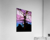 Tree Hugging Moon Acrylic Print