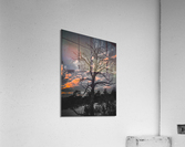 Winter Acrylic Print