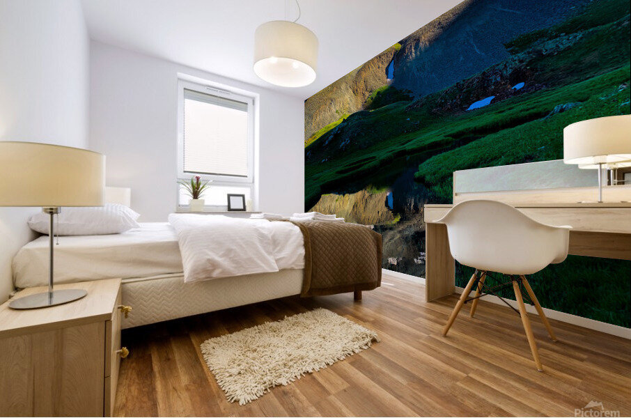 Silverton Reflection Mural print