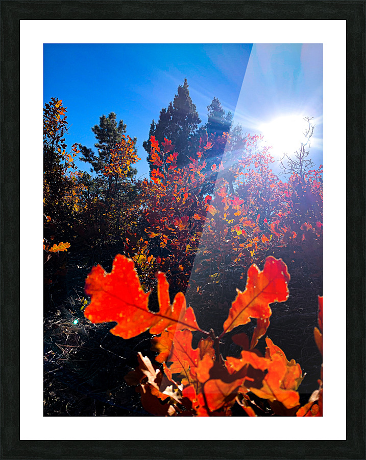 Oaks Durango Picture Frame print
