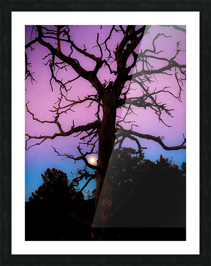 Tree Hugging Moon Picture Frame print