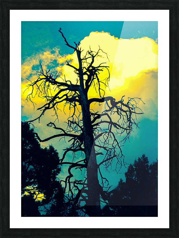 Standing Giant Picture Frame print