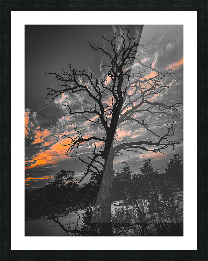 Winter Picture Frame print