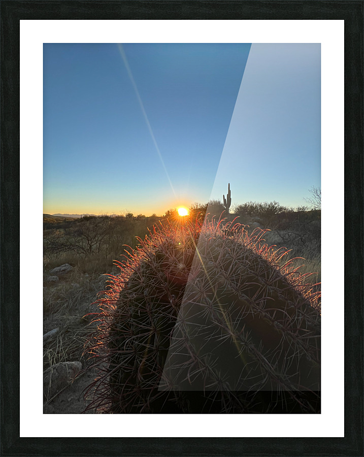 Fishhook Barrel Picture Frame print