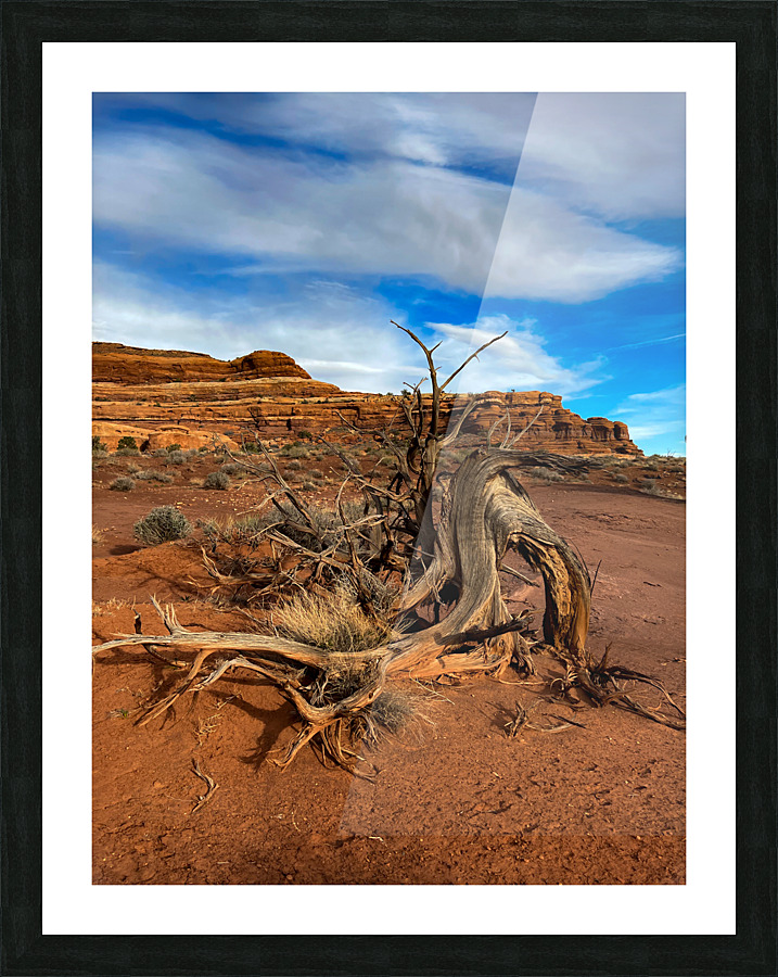 Twisted Picture Frame print