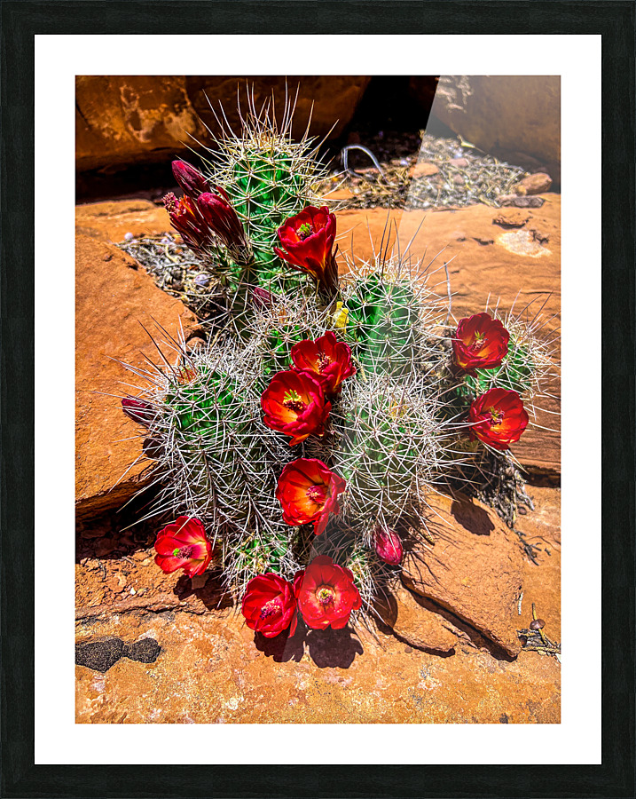 Barrel Blooms Picture Frame print