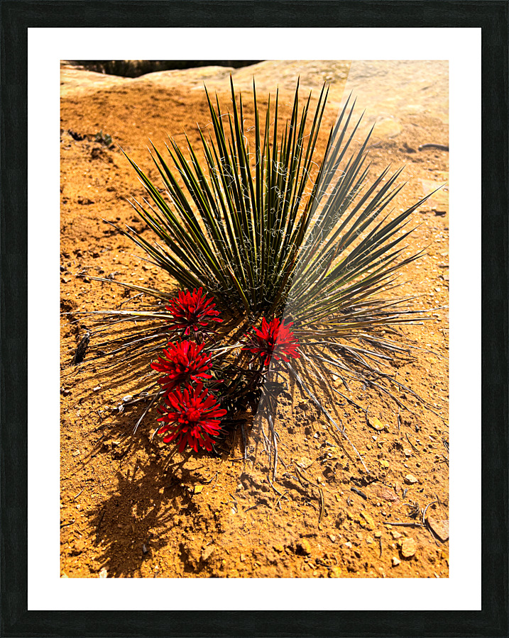 Yucca Paintbrush Picture Frame print