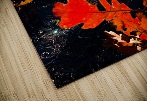 Oaks Durango Cheryl Wiescamp puzzle